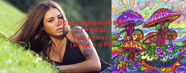 мдпв Арсеньев