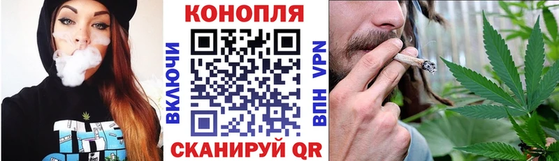 где купить   Ельня  Конопля VHQ 